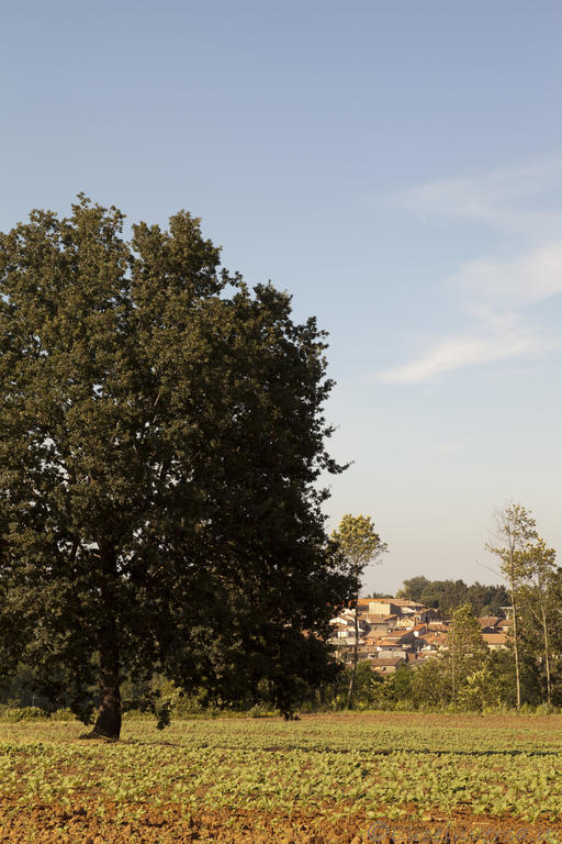 Agriturismo Creta Rossa Torre di Ruggiero Exterior foto